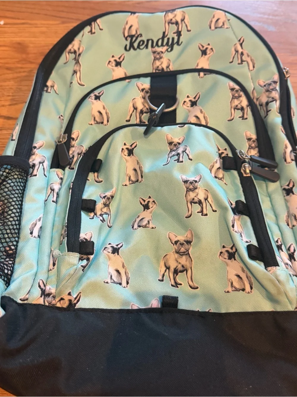 PB Pottery Barn Teen Backpack French Bulldog Dogs Large Gear-Up Laptop Sleeve